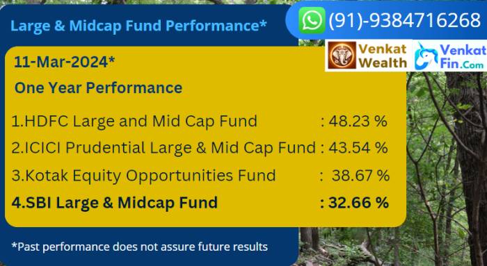 Large and Midcap fund performance